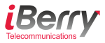 Logo Iberry